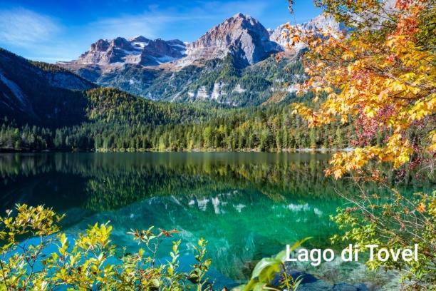 Agritur Casa Al Mulino Appartamenti Санцено Екстер'єр фото
